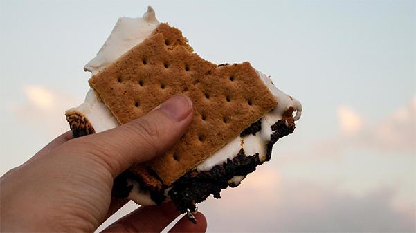 Lindenwood student government will be making smores this week at Evans Commons. 
 Photo from Pixabay.com 