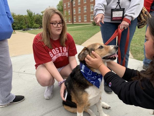 A student playing with a dog at the Cuddle With a Canine event.  Photo by Sandy Leegumjorn