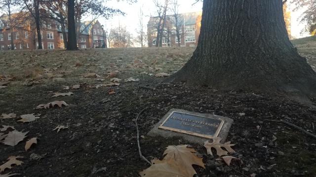 The historic side of campus holds dozens of plaques and bricks commemorating alumni and others.
 Photo by Kayla Drake