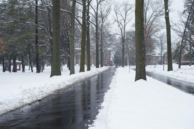 The main road into the heritage campus on Sunday, Jan. 13.  Photo by Mitchell Kraus