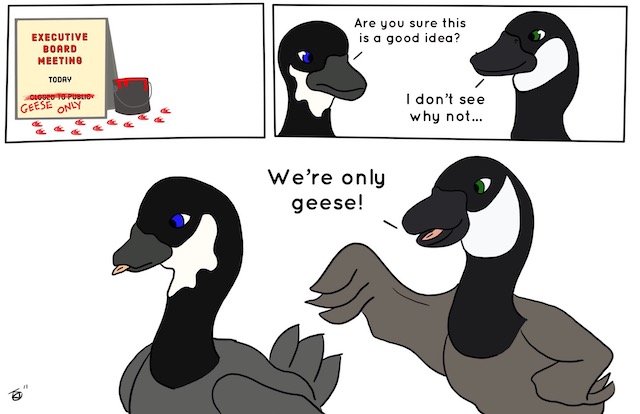 Editorial Cartoon: Geese only – Lindenlink