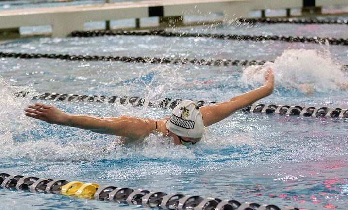 Lions swimmer performs a butterfly stroke during the Lindenwood Open on Oct. 26, 2019. 