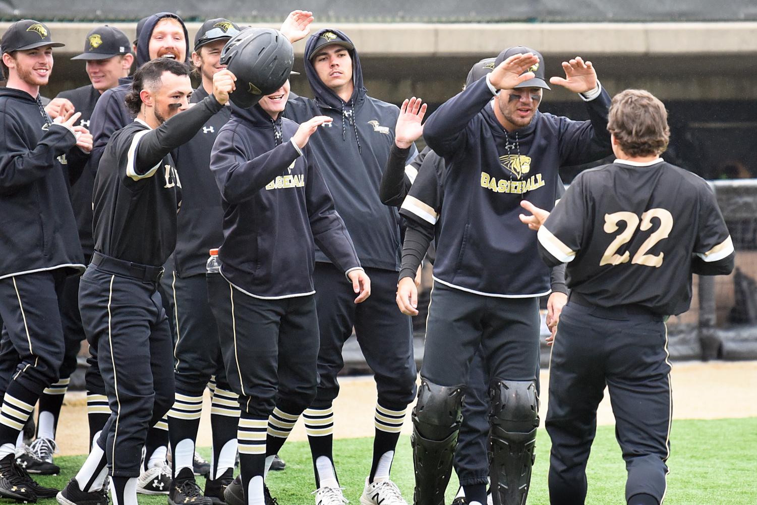 Men's Black Lindenwood Lions Baseball Jersey