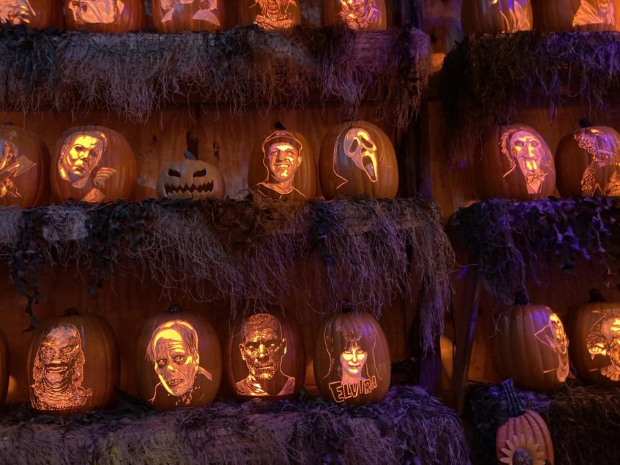 Pumpkin display From Creepyworld haunted house. 