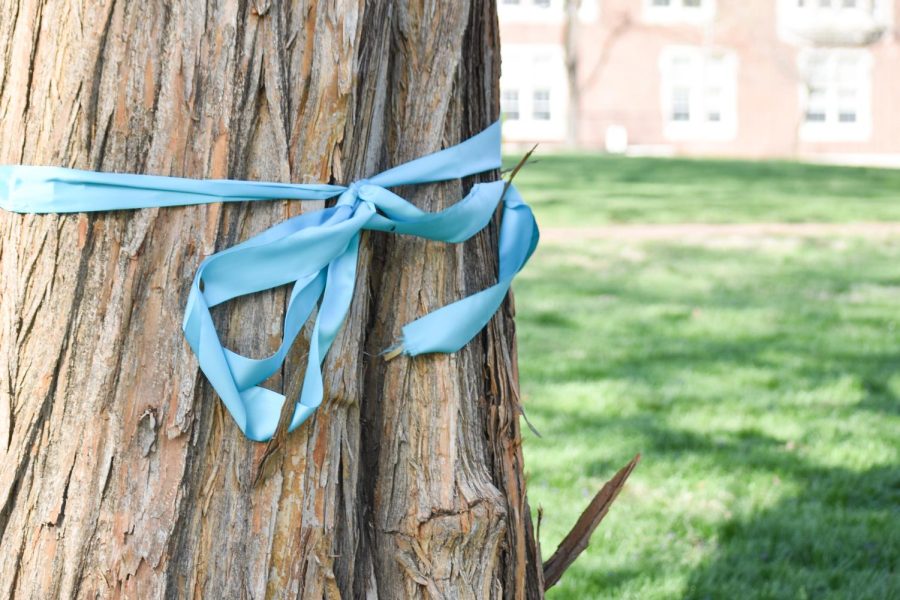 A teal ribbon wrapped across a tree next to the pavilion on campus for Sexual Assault Awareness Month. The Title IX office placed the ribbon in hopes of promoting awareness along with activities and other speakers