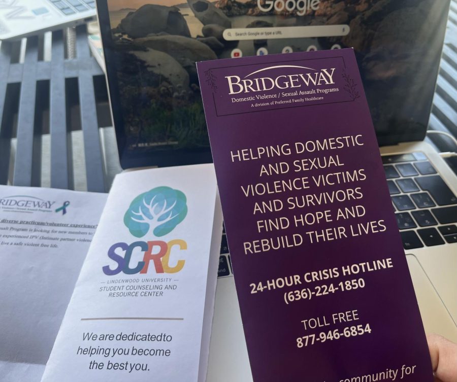 Bridgeway speakers on sexual assault and domestic violence