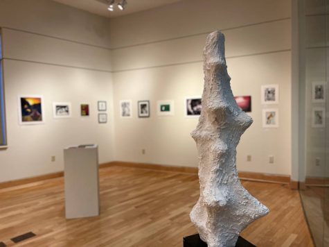Showcase of Carly Hermans Spinal Staircase artwork at the Juried Student Exhibition at J. Scheideggers Center for the Arts. 