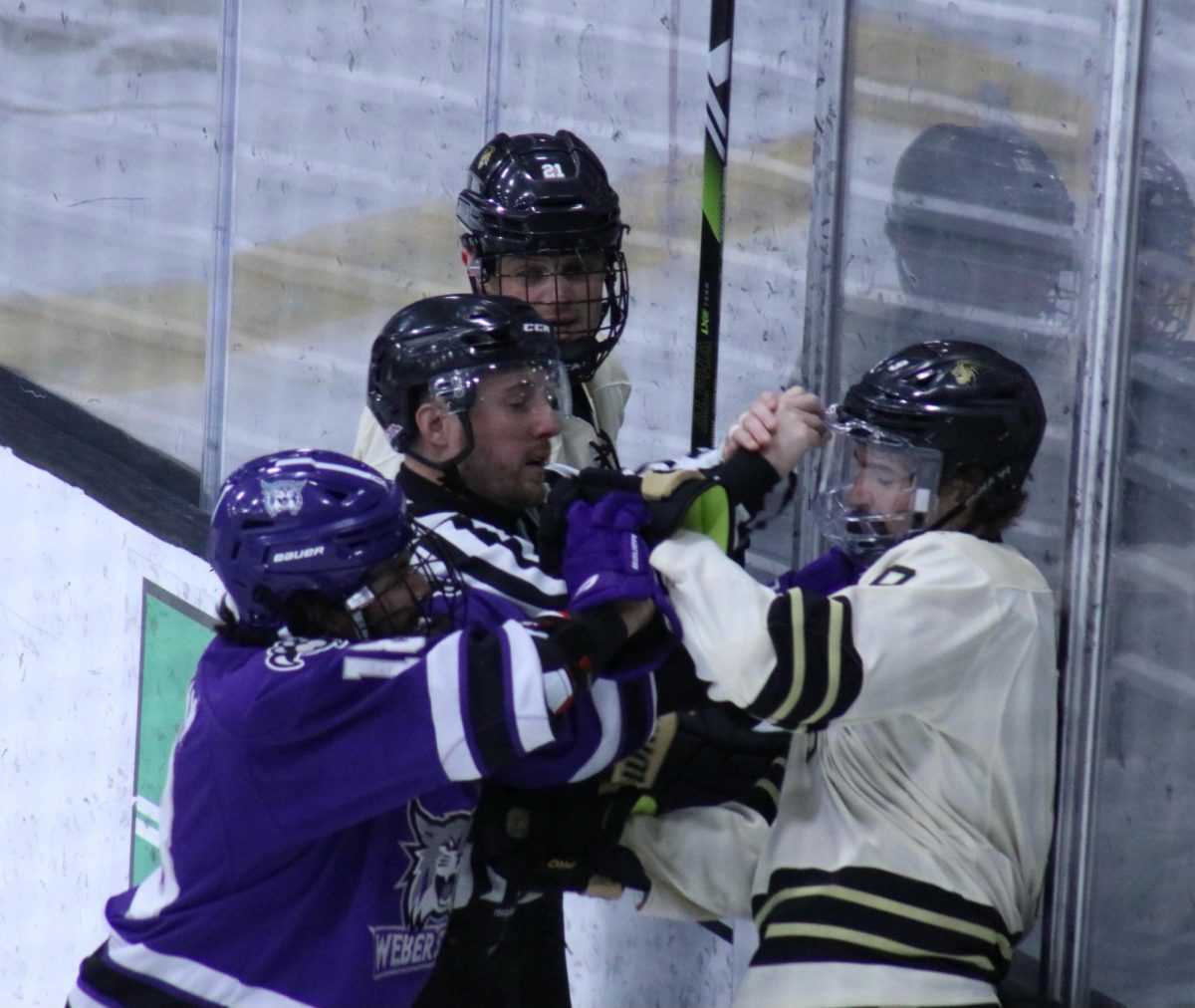 The Lions’ Austin Meers is pushed against the glass during a fight against Weber State.