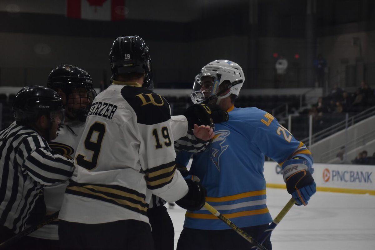 Forward Caige Setzer skirmishes with a Long Island University player