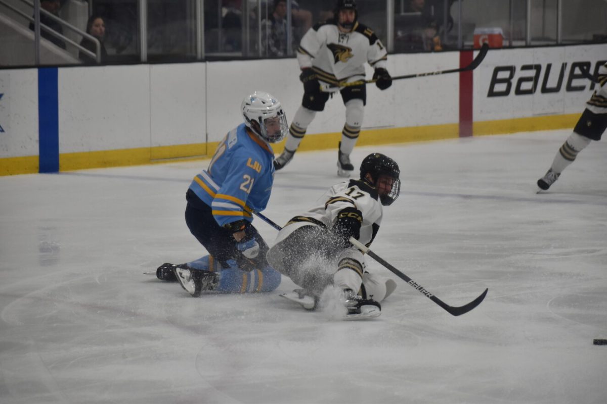 Forward Patrick Schmiedlin slides in front of a Long Island University player. 