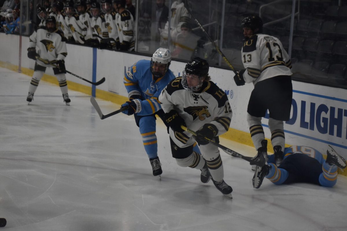 Forward Ethan Zielke skates past a pair of Long Island University players, one who has fallen. 