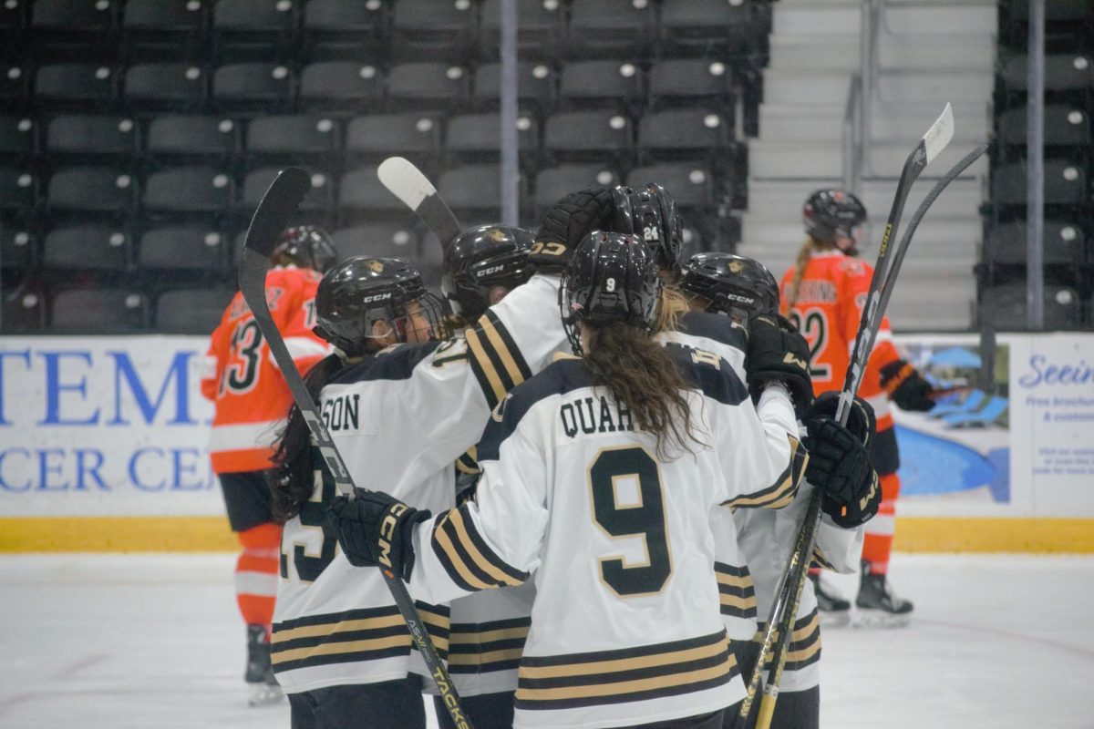 Members of the Lindenwood Lions, including Molly Henderson and Lucie Quarto, celebrate a goal against the Rochester Institute of Technology. 