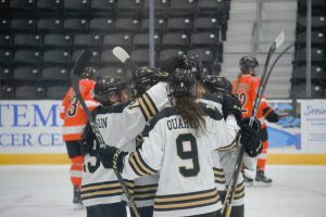 Members of the Lindenwood Lions, including Molly Henderson and Lucie Quarto, celebrate a goal against the Rochester Institute of Technology. 