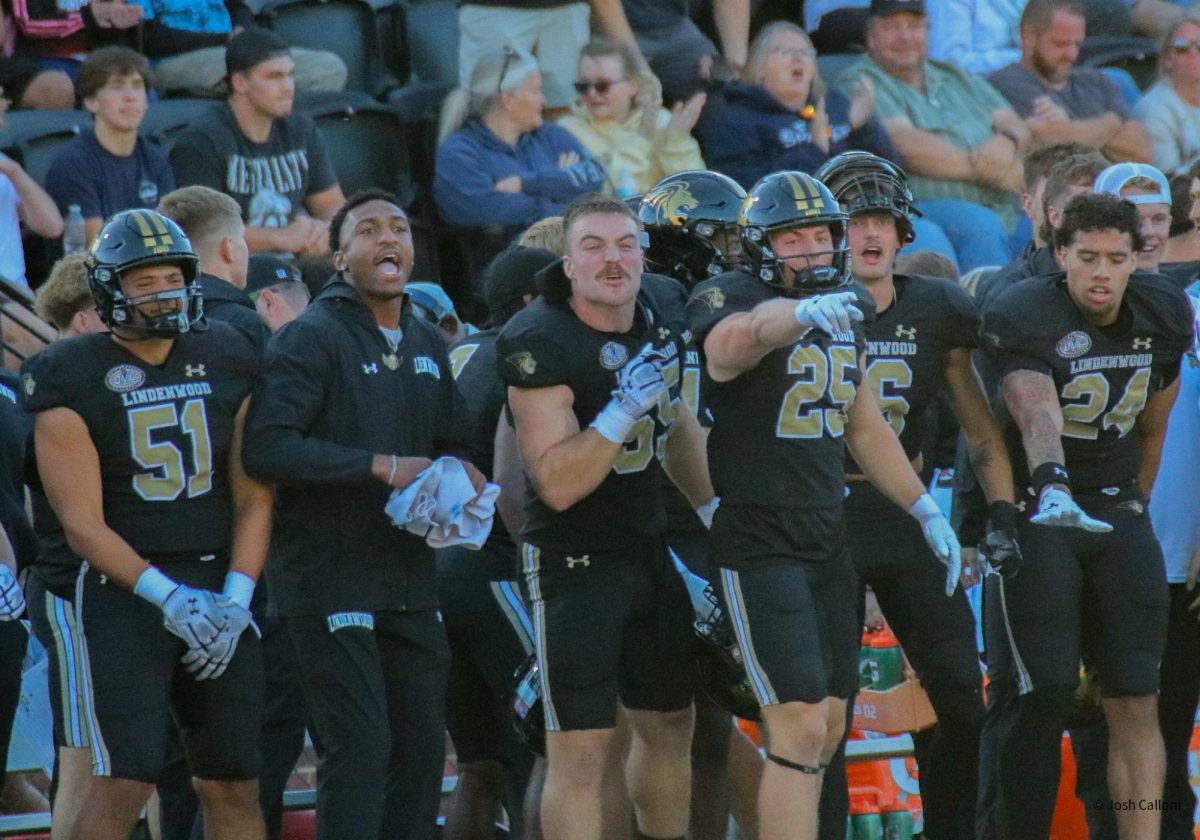 Members of the Lindenwood Lions football team bench celebrate a first down against Central Arkansas. 