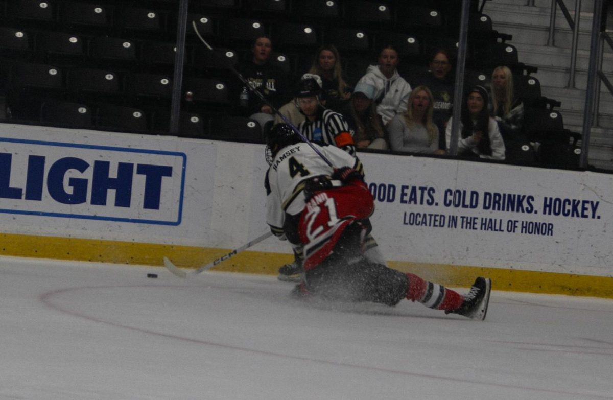 Shawn Ramsey gets checked into the boards by a UNLV player while with the puck. 