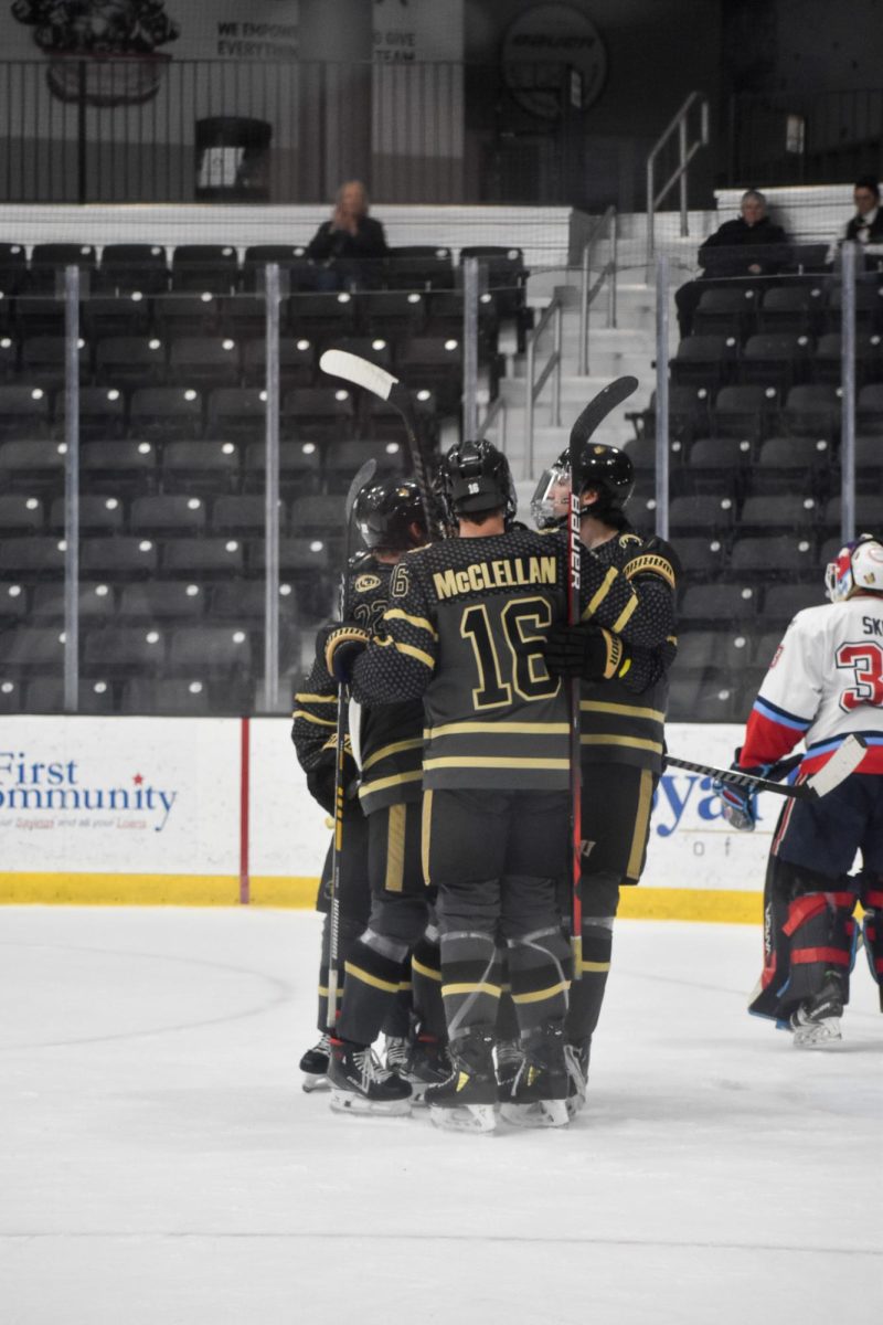 Chase McClellan and other members of the Lindenwood University ACHA hockey team celebrate a goal against Liberty University. 