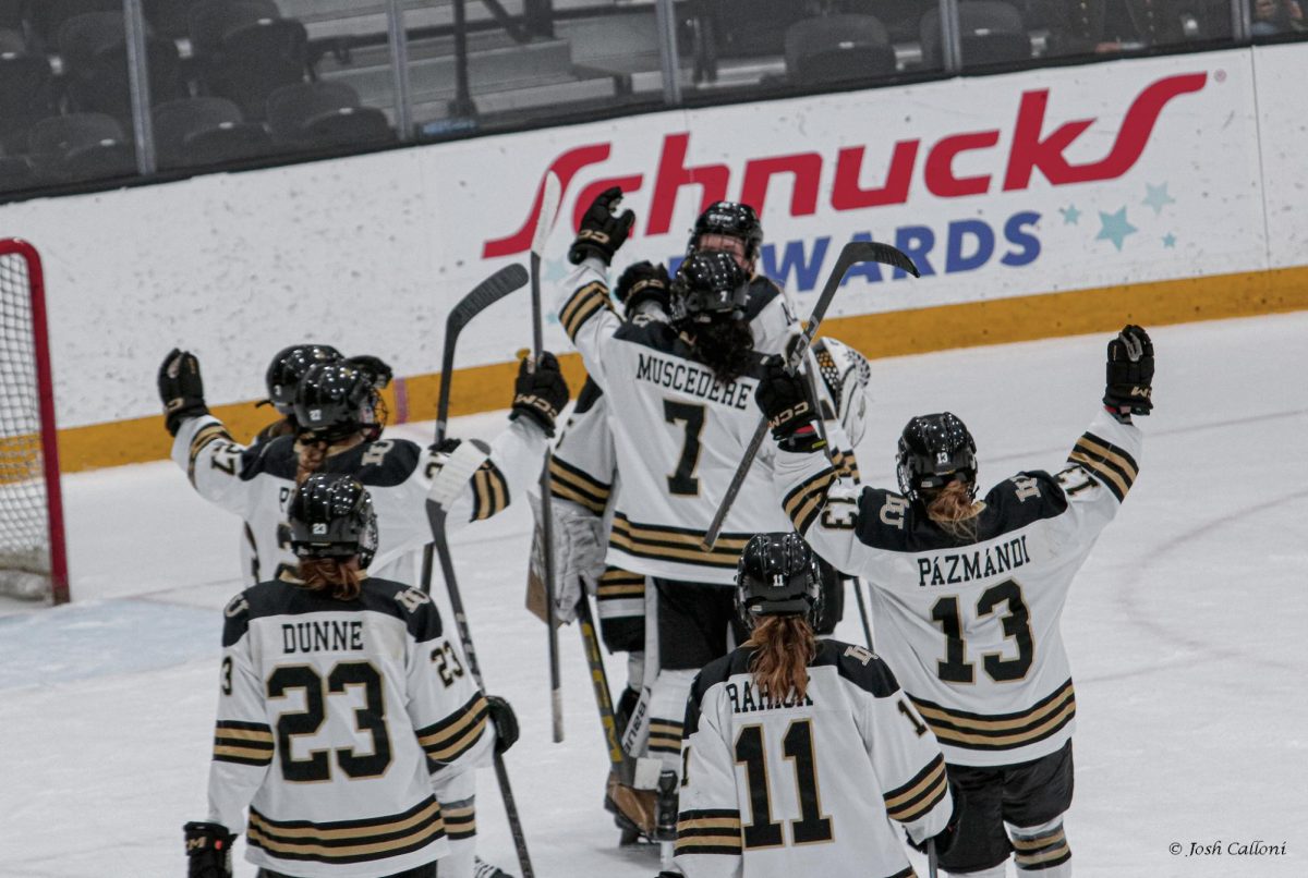 The Lindenwood Lions women's hockey team celebrates a win over the Syracuse Orange. 