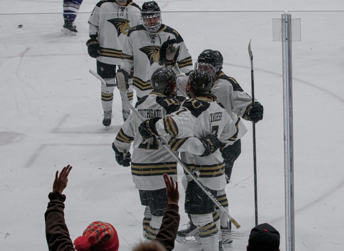 Members of the Lindenwood Lions men's hockey team celebrate a goal against Stonehill. 