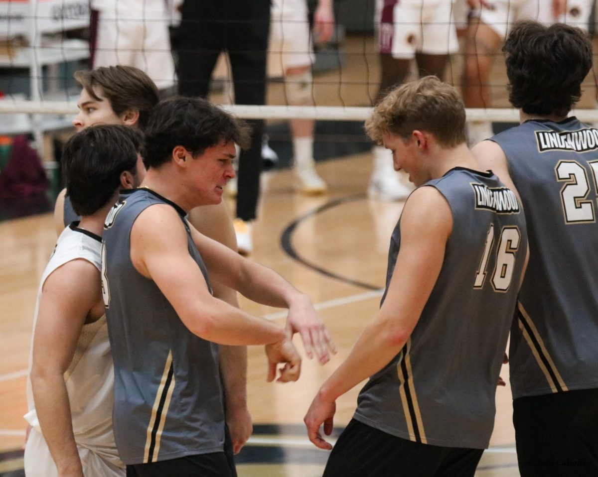 Brendan Louthain and Zach Solomon celebrate a kill during a match against Charleston.