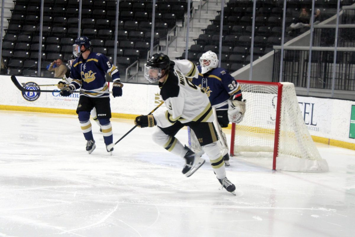 Austin Meers in the offensive zone. 